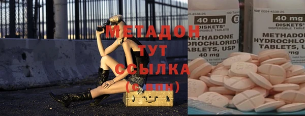 прущие грибы Алзамай