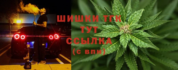 прущие грибы Алзамай