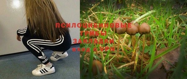PSILOCYBIN Алексин