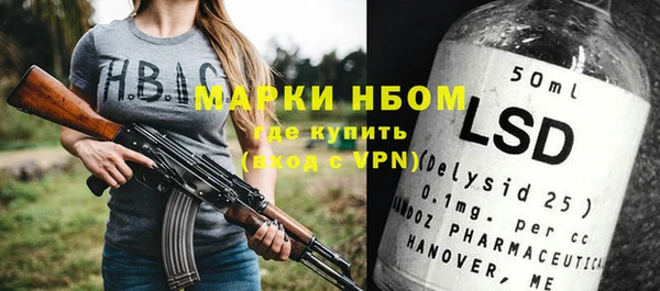 прущие грибы Алзамай