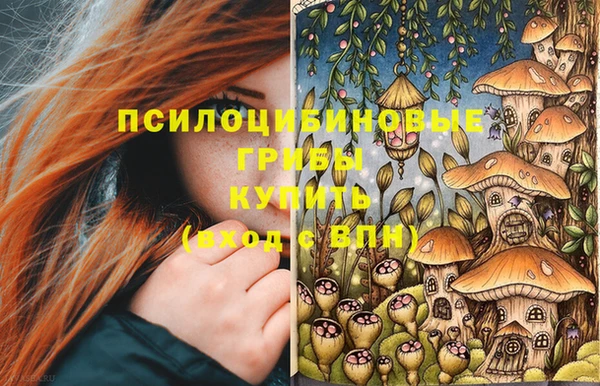 PSILOCYBIN Алексин