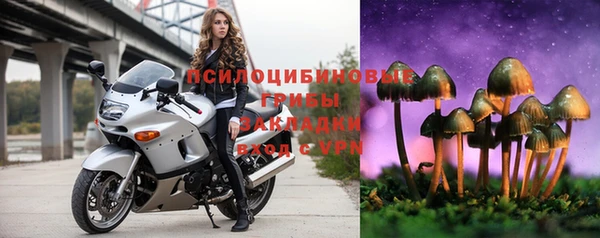 прущие грибы Алзамай