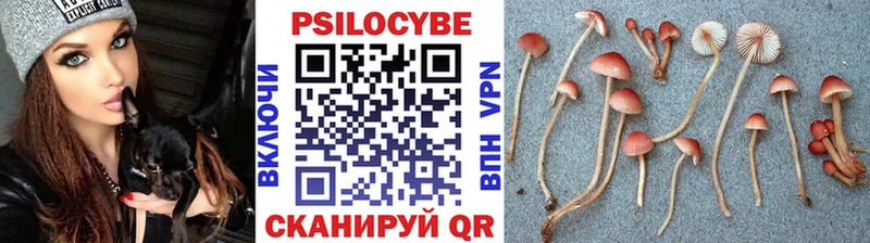 Галлюциногенные грибы ЛСД  Заинск 
